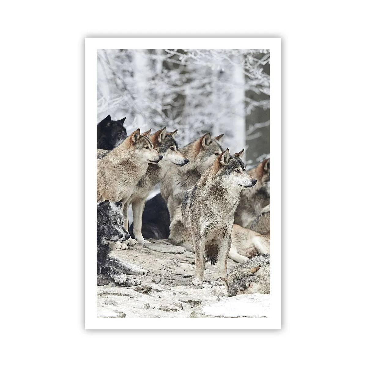 Póster - Familiares y amigos - 61x91 cm