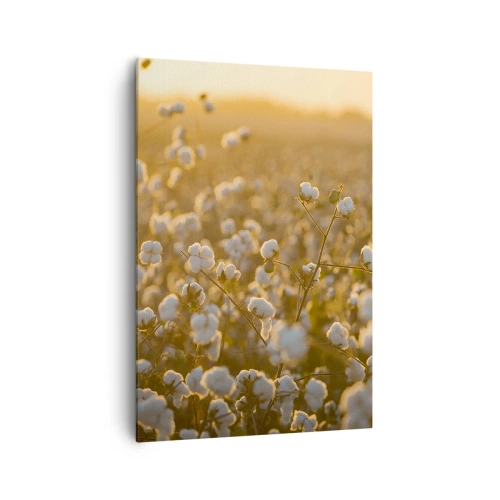 Cuadro sobre lienzo - Impresión de Imagen - Un campo de algodón bajo la cálida luz del sol poniente. - 70x100cm - Un campo esponjoso - Decoración de pared moderna para salón y dormitorio ARTTOR