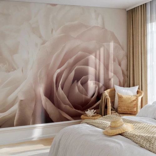 Fotomural Premium Sand - En el corazón de una rosa - rosas, flores, Romántico - 400x280 cm