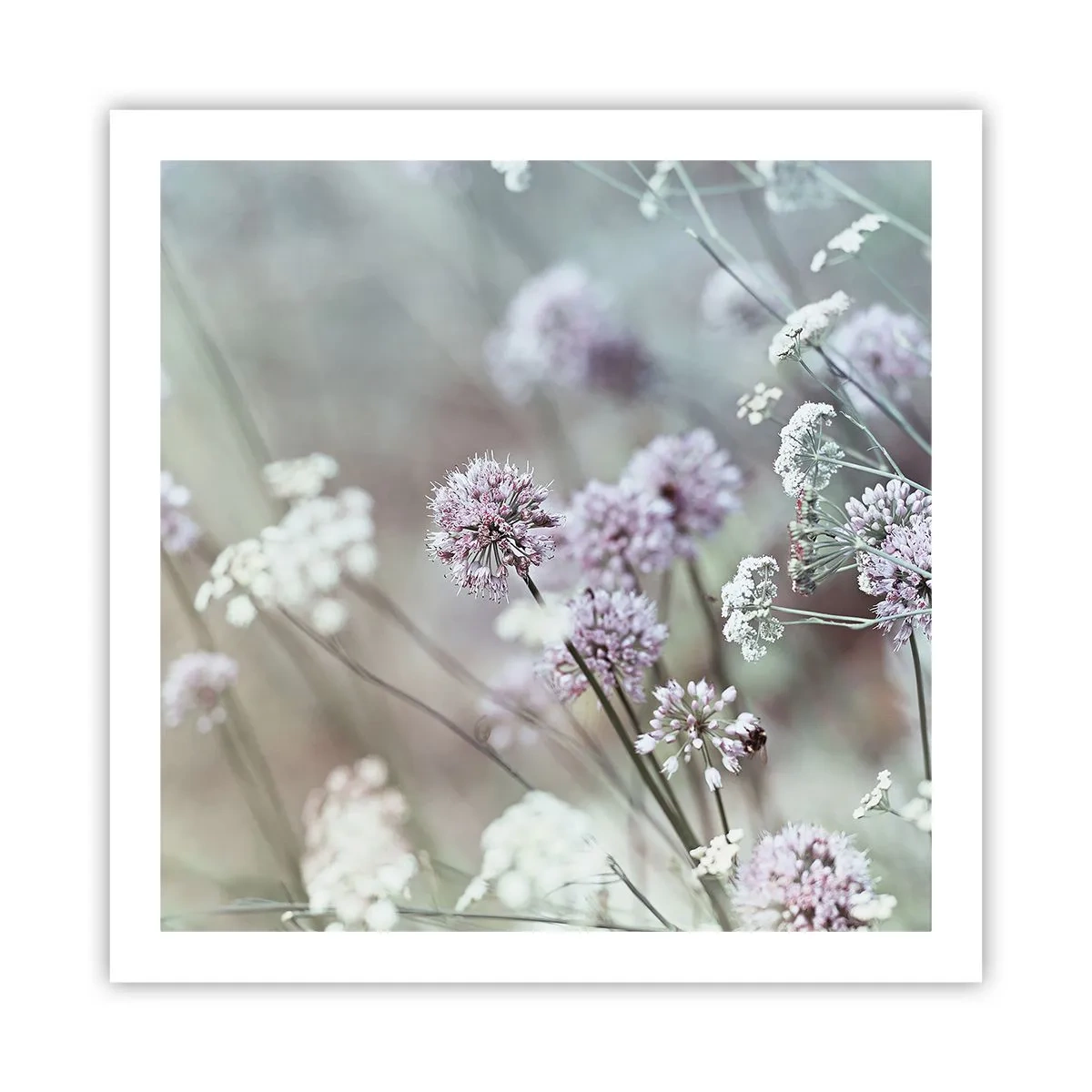 Póster - Dulces filigranas de hierbas - 60x60 cm