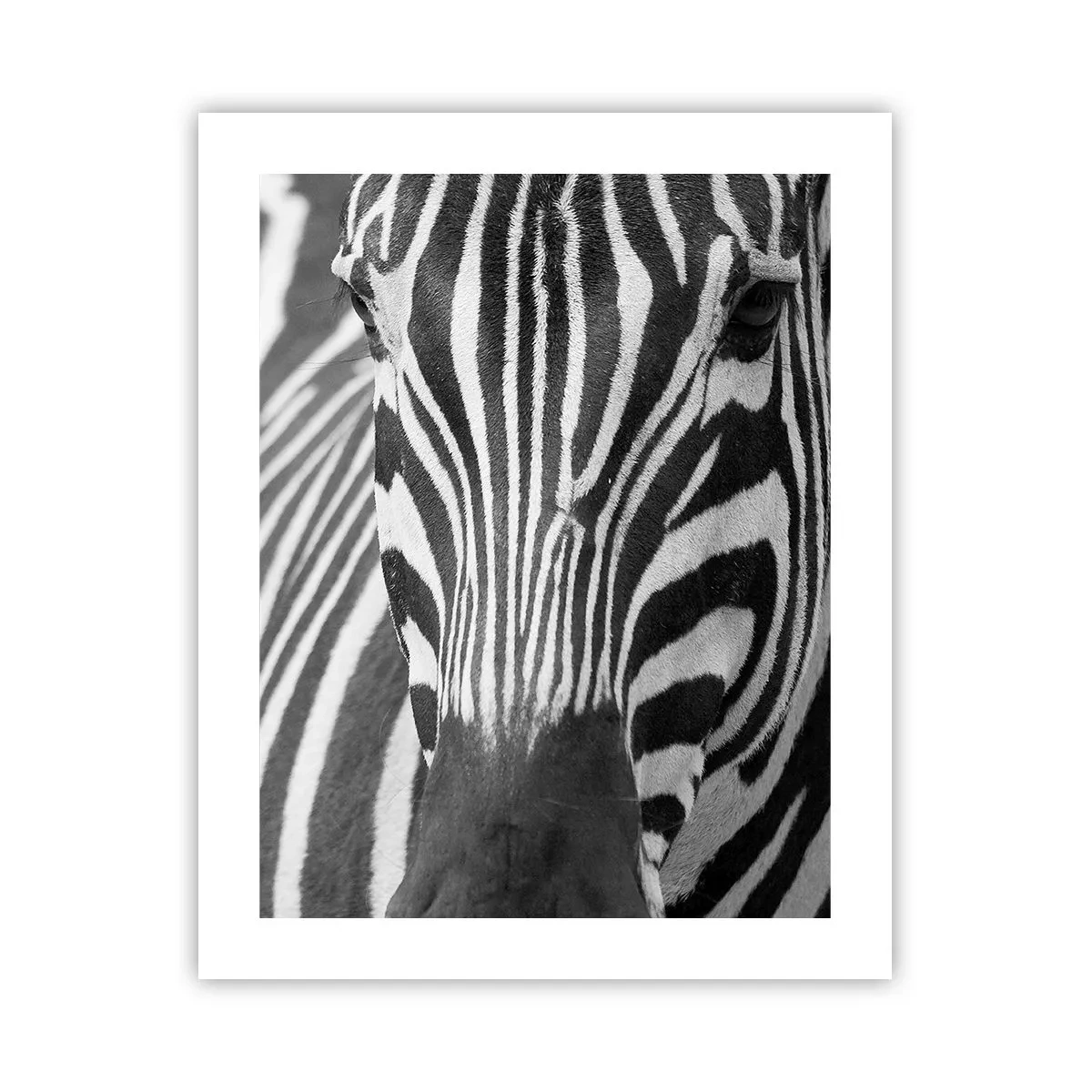 Póster - El mundo es blanco y negro - 40x50 cm