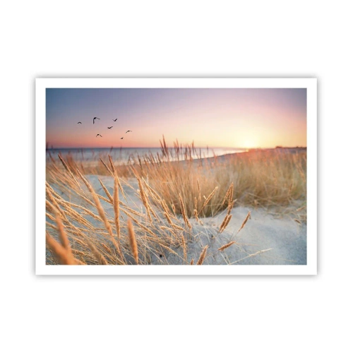 Póster - Playa al atardecer con hierbas altas - 100x70cm - Dulce nana del Báltico - Decoración de pared moderna para salón y dormitorio ARTTOR
