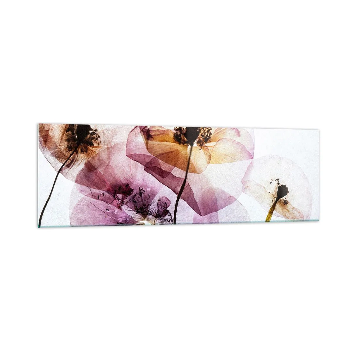 Cuadro sobre vidrio - Impresiones sobre Vidrio - Delicadas flores transparentes en tonos pastel. - 160x50cm - Cuerpo de flor - Decoración de pared moderna para salón y dormitorio ARTTOR