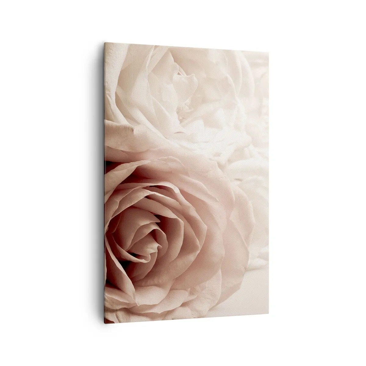 Cuadro sobre lienzo - Impresión de Imagen - Delicadas rosas en tonos pastel beige. - 80x120cm - En el corazón de una rosa - Decoración de pared moderna para salón y dormitorio ARTTOR