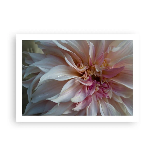 Póster - Frescura floreciente - 70x50 cm