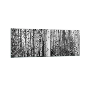 Cuadro sobre vidrio - Impresiones sobre Vidrio - Abedules blancos y negros en el bosque - 140x50cm - Columnas de abedules - Decoración de pared moderna para salón y dormitorio ARTTOR