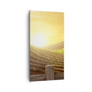 Cuadro sobre lienzo - Impresión de Imagen - Una granja como un cuento de hadas - 65x120 cm