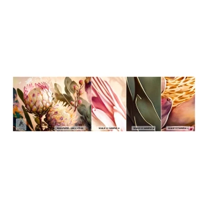 Muestra de fotomural autoadhesivo Deluxe Sticker - Abrazados con ternura - flores, Plantas, Botánica - 100x30 cm