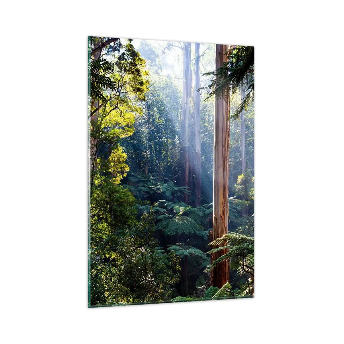 Cuadro sobre vidrio - Impresiones sobre Vidrio - Bosque tropical iluminado por los rayos del sol - 80x120cm - Un cuento de hadas del bosque - Decoración de pared moderna para salón y dormitorio ARTTOR