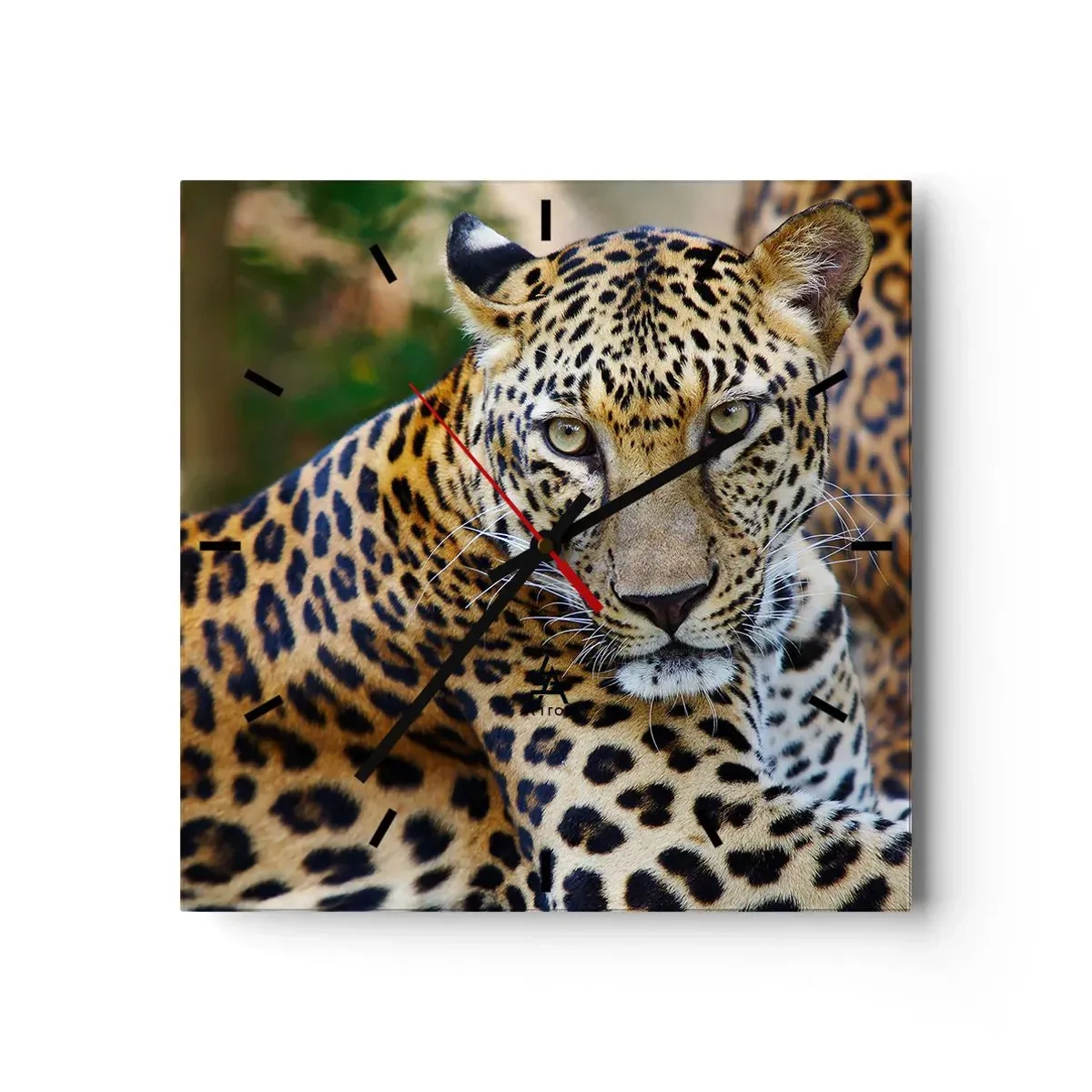 Reloj de pared - Reloj de vidrio - Jaguar descansando en un entorno natural con fondo verde. - 30x30cm - Salvaje y tranquilo - Decoración de pared moderna para salón y dormitorio ARTTOR