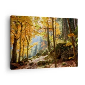 Cuadro sobre lienzo - Impresión de Imagen - Un bosque otoñal lleno de hojas doradas y luz solar. - 70x50cm - Tiempo de descanso - Decoración de pared moderna para salón y dormitorio ARTTOR