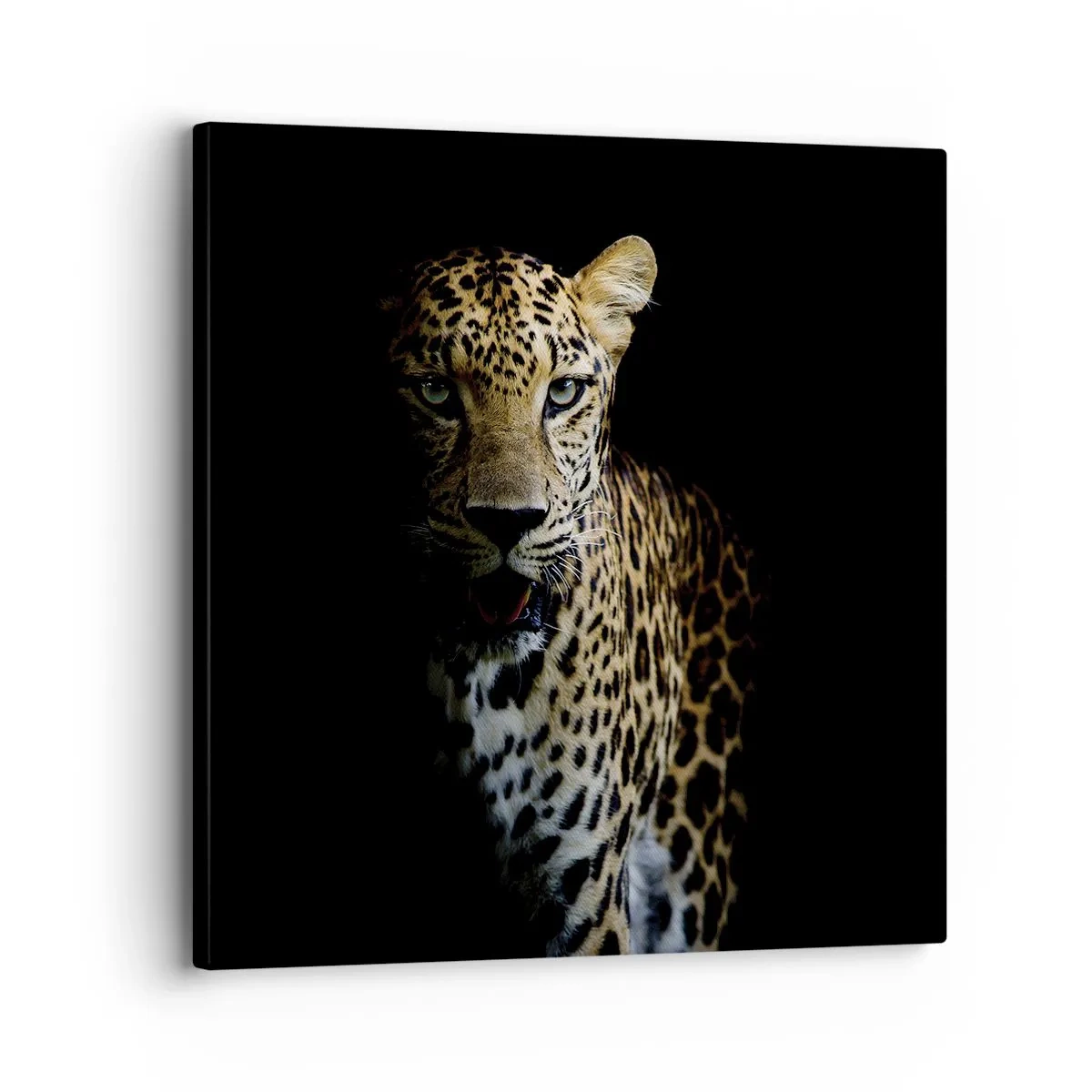 Cuadro sobre lienzo - Impresión de Imagen - Belleza oscura - 30x30 cm