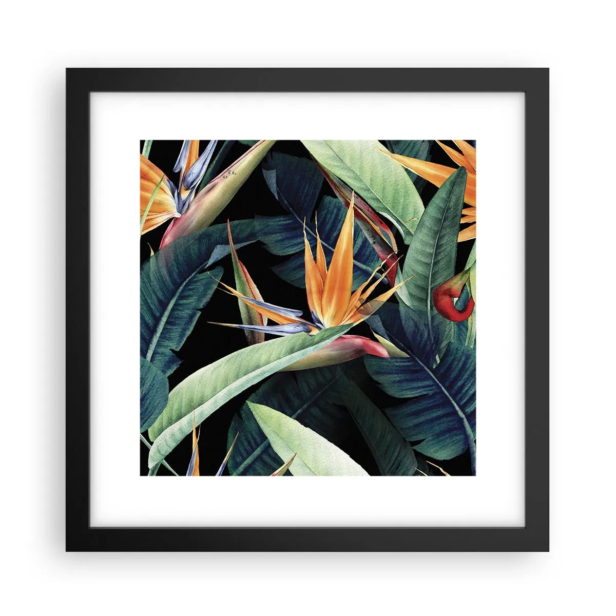 Póster en marco negro - Flores de llamas de los trópicos - 30x30 cm