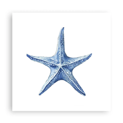 Póster - Estrella de mar - 60x60 cm