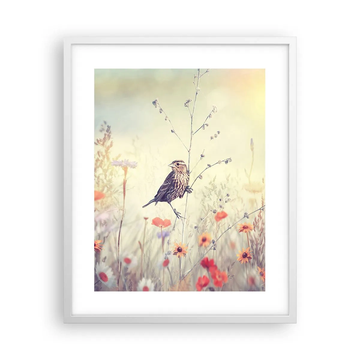 Póster en marco blanco - Retrato de pájaro con prado de fondo - 40x50 cm