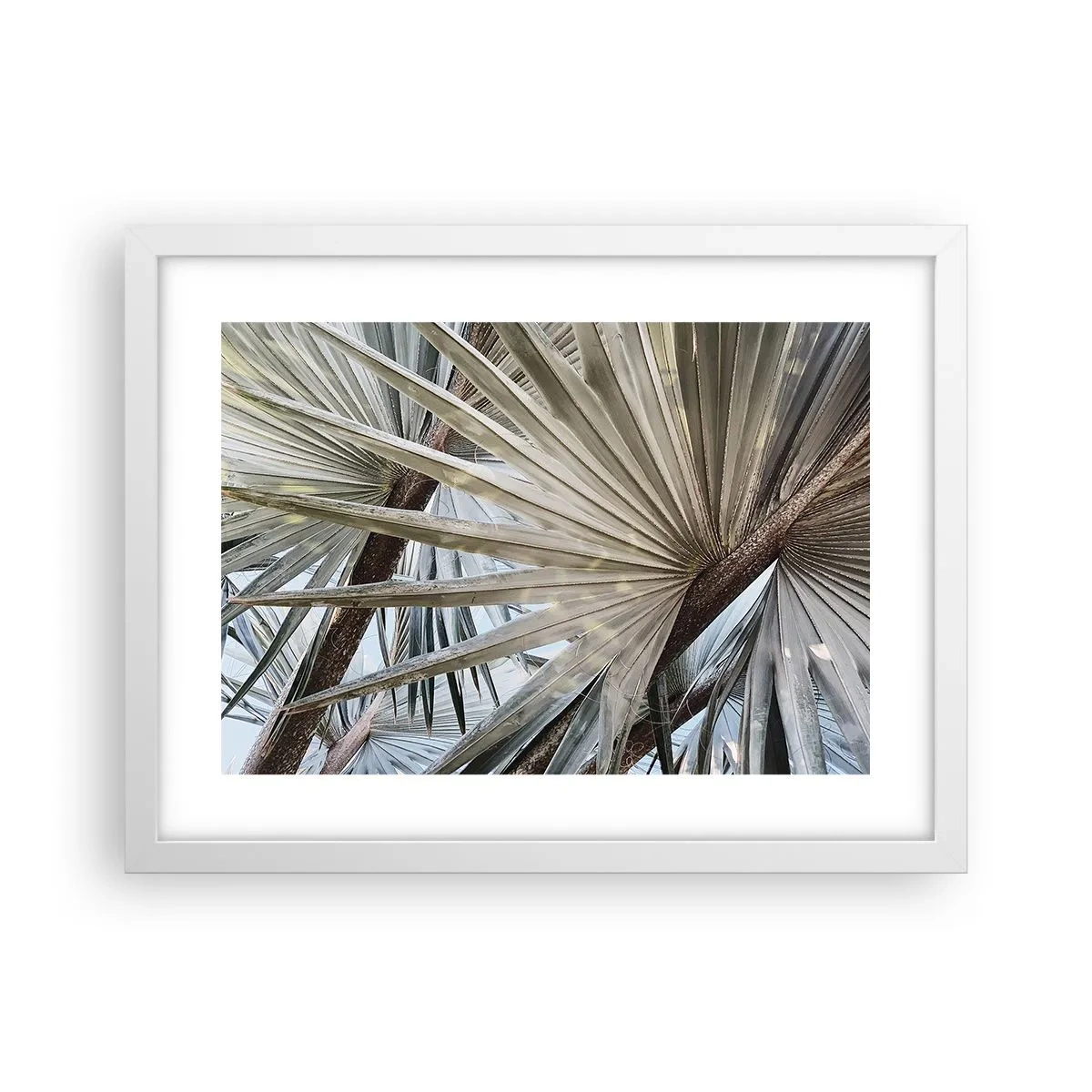 Póster en marco blanco - Abanicos en el trópico - 40x30 cm