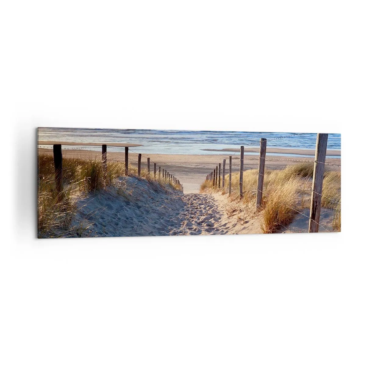 Cuadro sobre lienzo - Impresión de Imagen - Camino a través de las dunas que conduce a la playa. - 160x50cm - El sonido del mar, el canto de los pájaros, una playa virgen entre las dunas... - Decoración de pared moderna para salón y dormitorio ARTTOR