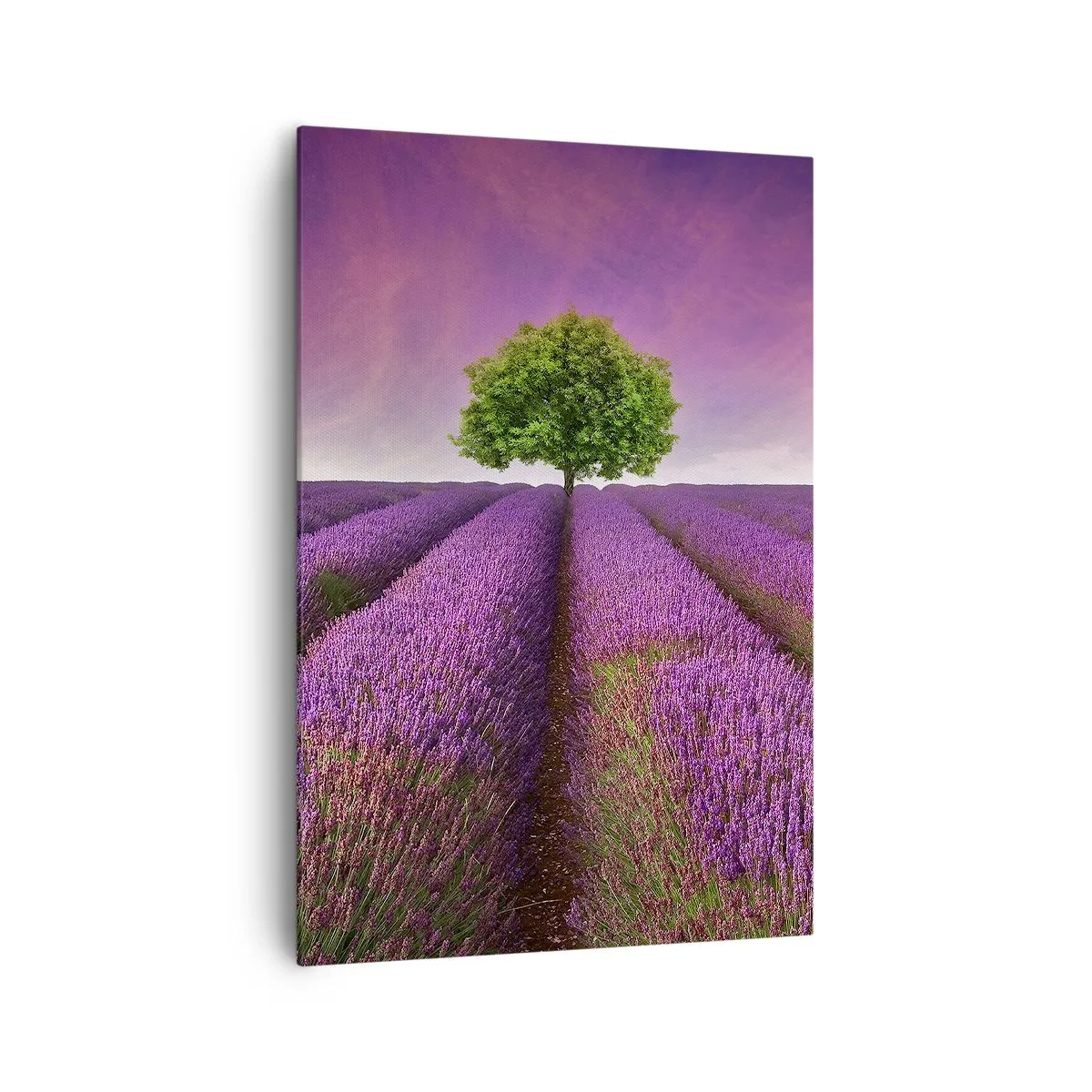 Cuadro sobre lienzo - Impresión de Imagen - Un campo de lavanda con un árbol solitario y un cielo púrpura. - 70x100cm - En los campos de lavanda - Decoración de pared moderna para salón y dormitorio ARTTOR