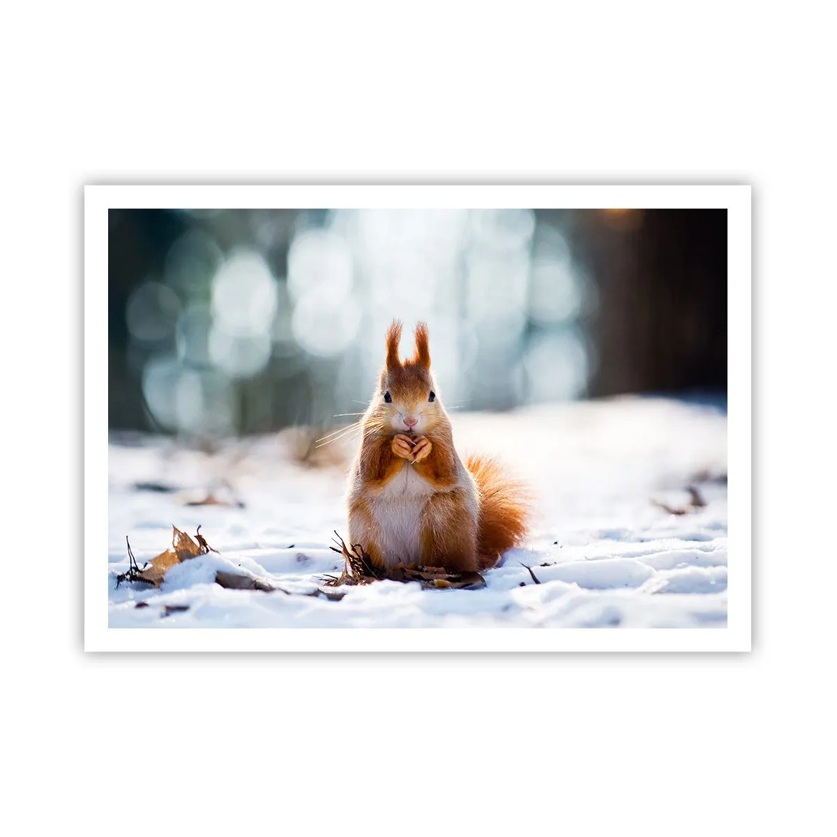 Póster - Una ardilla en un paisaje invernal. - 100x70cm - ¿Qué estás mirando? - Decoración de pared moderna para salón y dormitorio ARTTOR