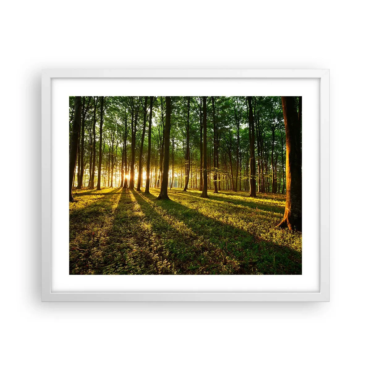Póster en marco blanco - Una fotografía de todos los manantiales - 50x40 cm