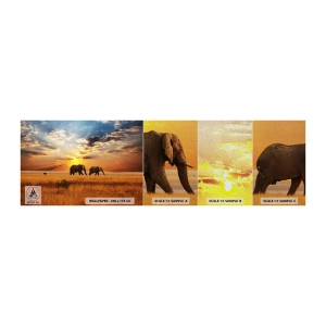 Muestra de fotomural Premium Sand - Un paseo en familia - animales, África, Elefante - 100x30 cm