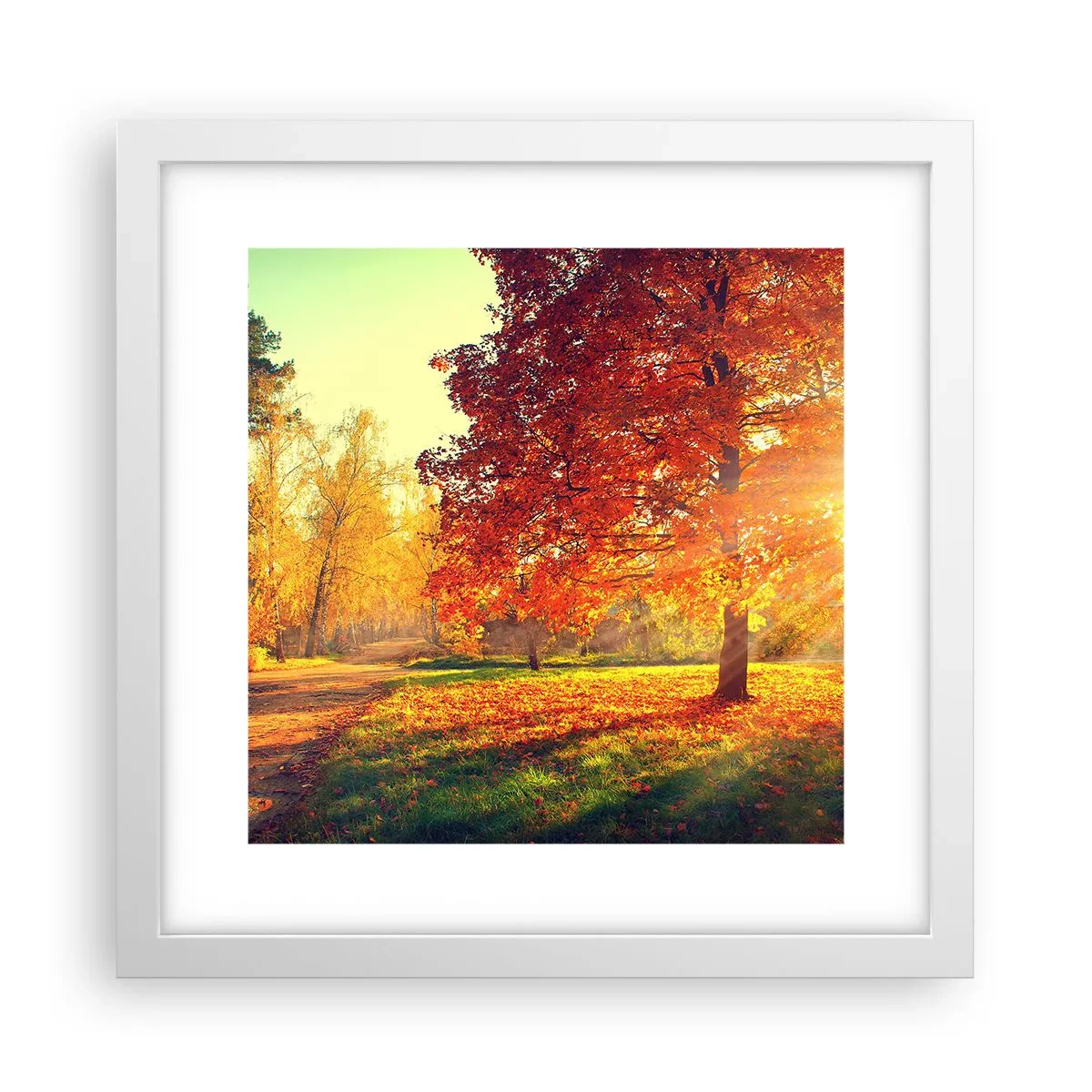 Póster en marco blanco - El rojo es hermoso - 30x30 cm