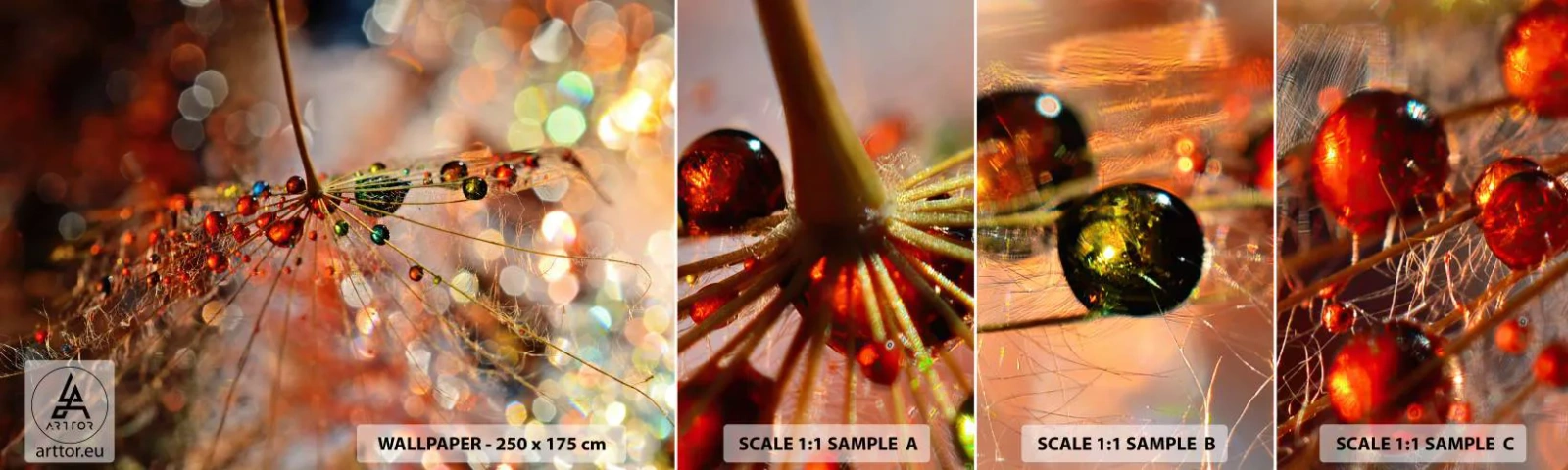 Muestra de fotomural autoadhesivo Deluxe Sticker - En una tela de araña - Abstracción, telaraña, Pedazo - 100x30 cm