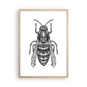 Póster en marco roble claro - Desde un planeta de insectos - 50x70 cm