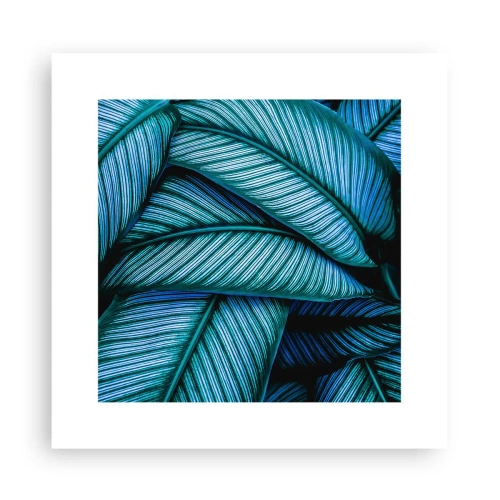 Póster - Líneas de vida - 30x30 cm