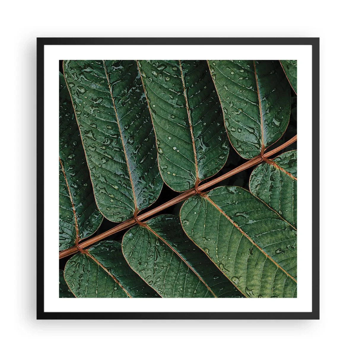 Póster en marco negro - En un ritmo verde - 60x60 cm