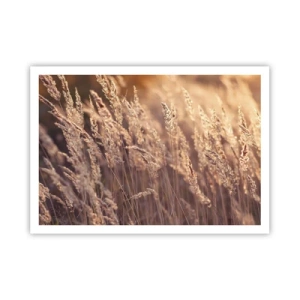 Póster - Hierbas doradas con el sol poniente como telón de fondo - 100x70cm - Listos para dar la bienvenida al otoño - Decoración de pared moderna para salón y dormitorio ARTTOR