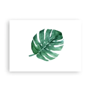 Póster - Concepto verde - 70x50 cm