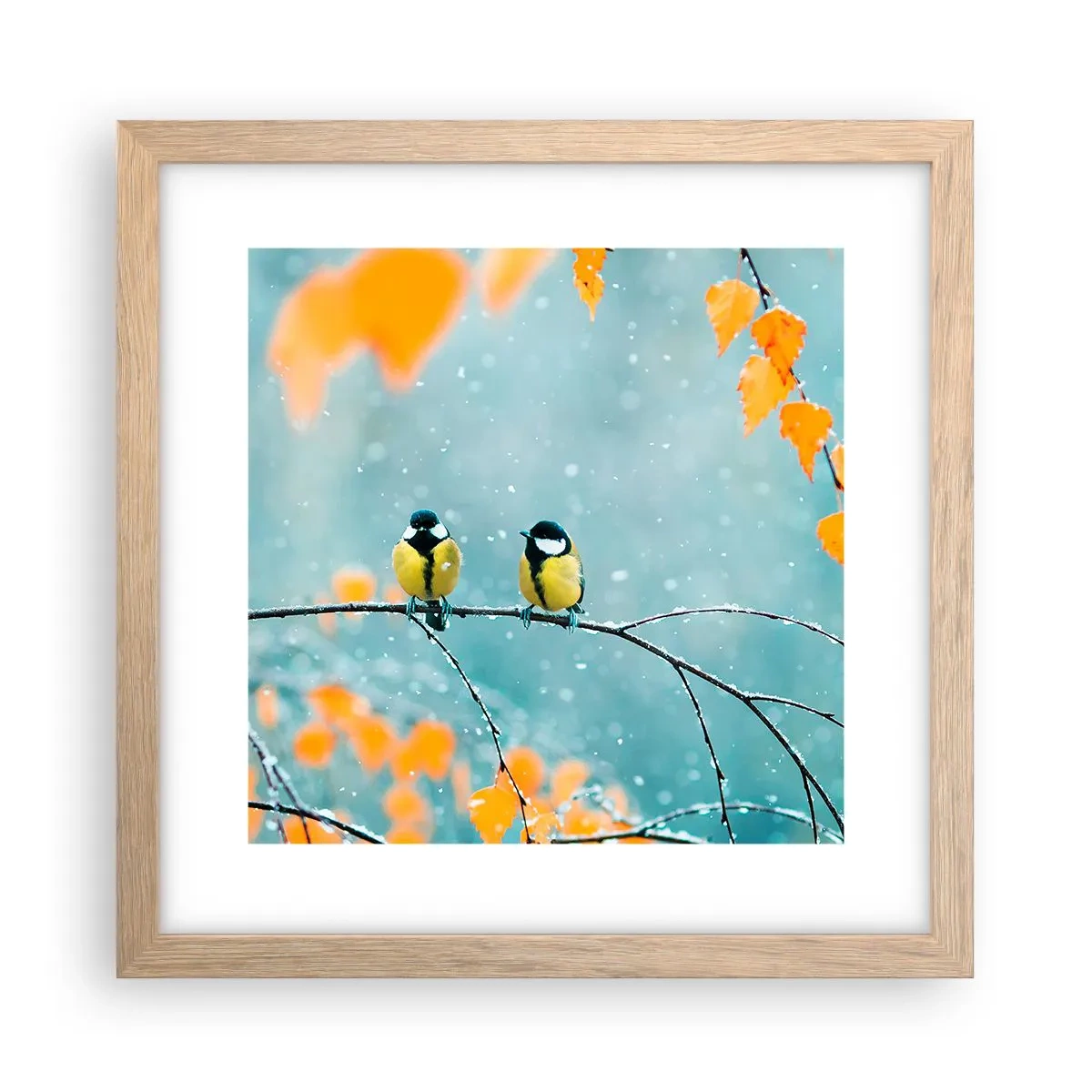 Póster en marco roble claro - Cotilleo de pájaros - 30x30 cm