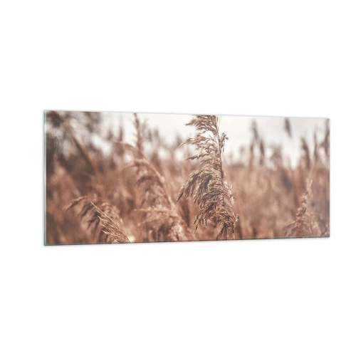 Cuadro sobre vidrio - Impresiones sobre Vidrio - El otoño ya está en los campos - 100x40 cm