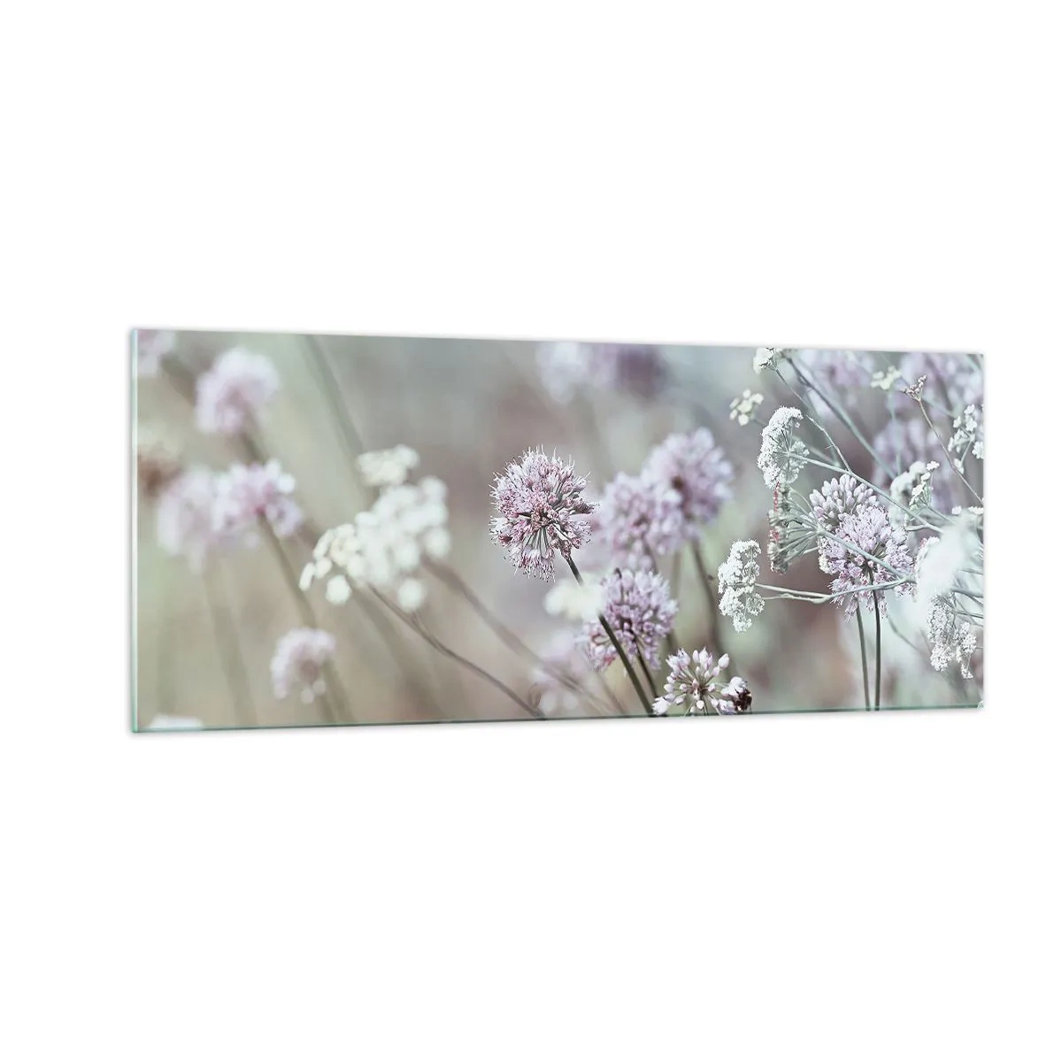 Cuadro sobre vidrio - Impresiones sobre Vidrio - Dulces filigranas de hierbas - 100x40 cm