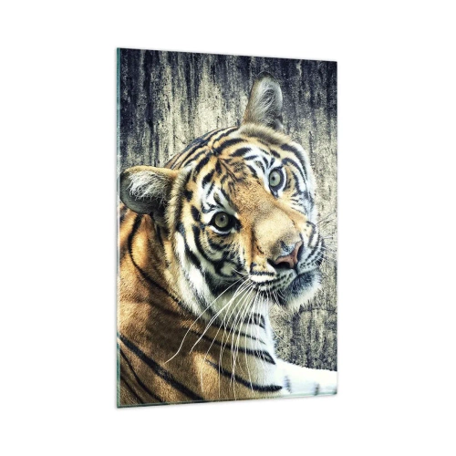 Cuadro sobre vidrio - Impresiones sobre Vidrio - Un tigre recostado contra una pared de textura rugosa. - 80x120cm - Retrato en corrientes de luz - Decoración de pared moderna para salón y dormitorio ARTTOR