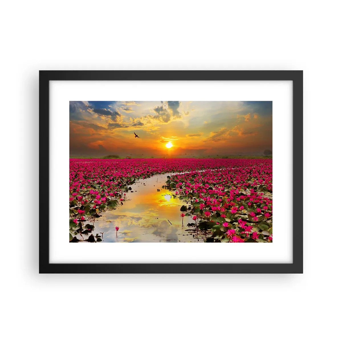 Póster en marco negro - La vida secreta del lago - 40x30 cm