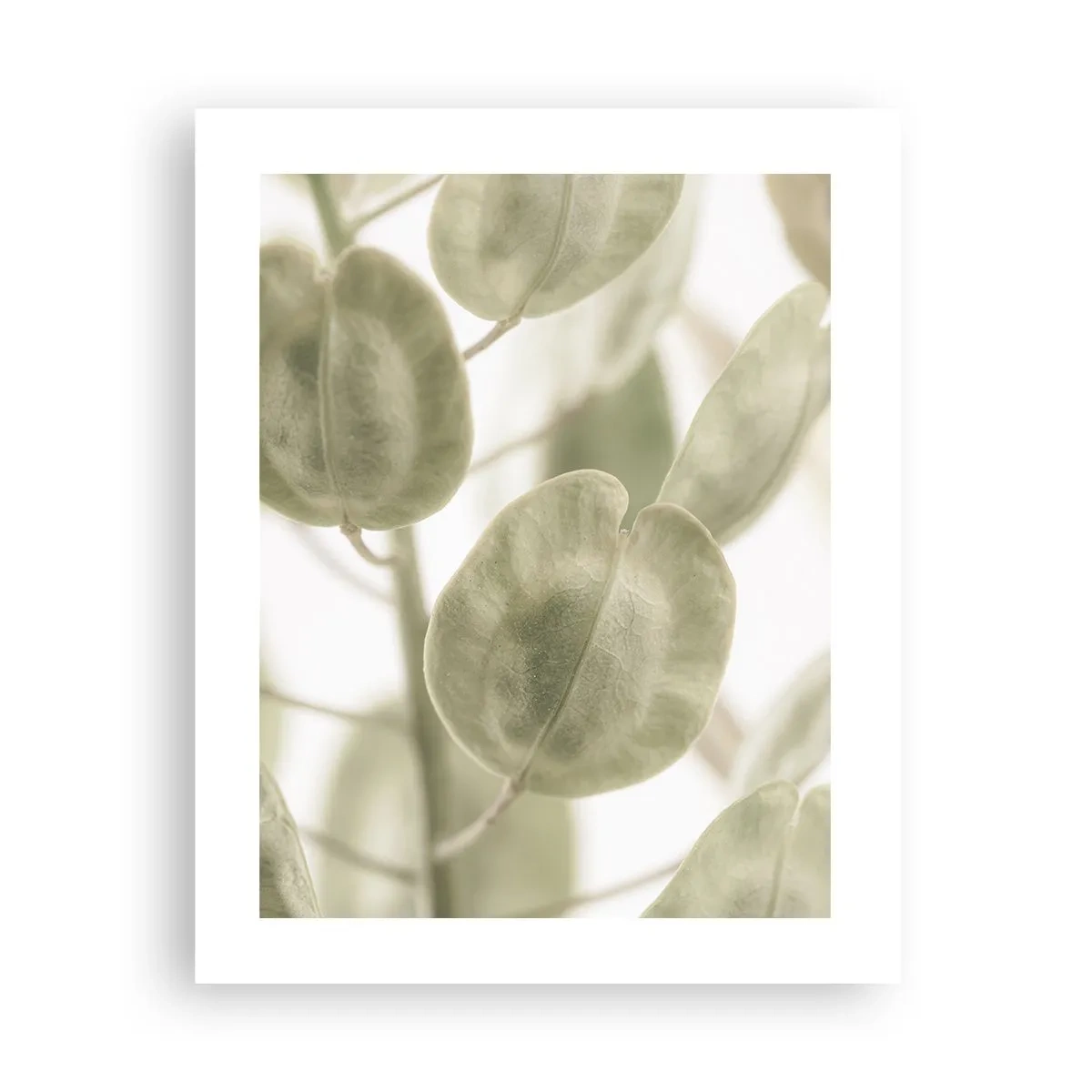 Póster - Al principio de los tiempos había hojas... - 40x50 cm