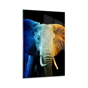 Cuadro sobre vidrio - Impresiones sobre Vidrio - Retrato de elefante en colores del arco iris - 70x100cm - Excéntrico, no un bicho raro - Decoración de pared moderna para salón y dormitorio ARTTOR