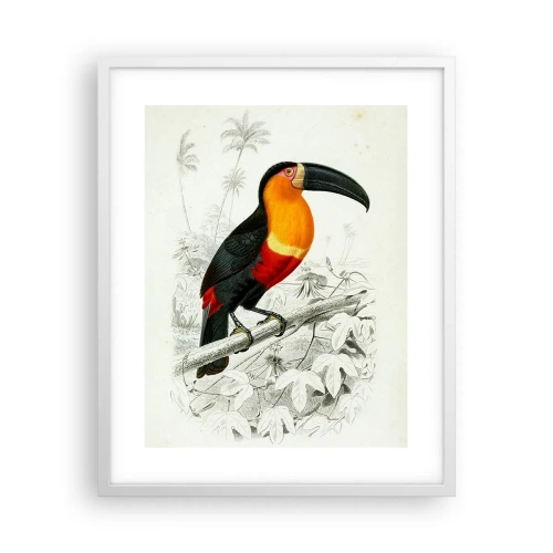 Póster en marco blanco - Colores de ave - 40x50 cm