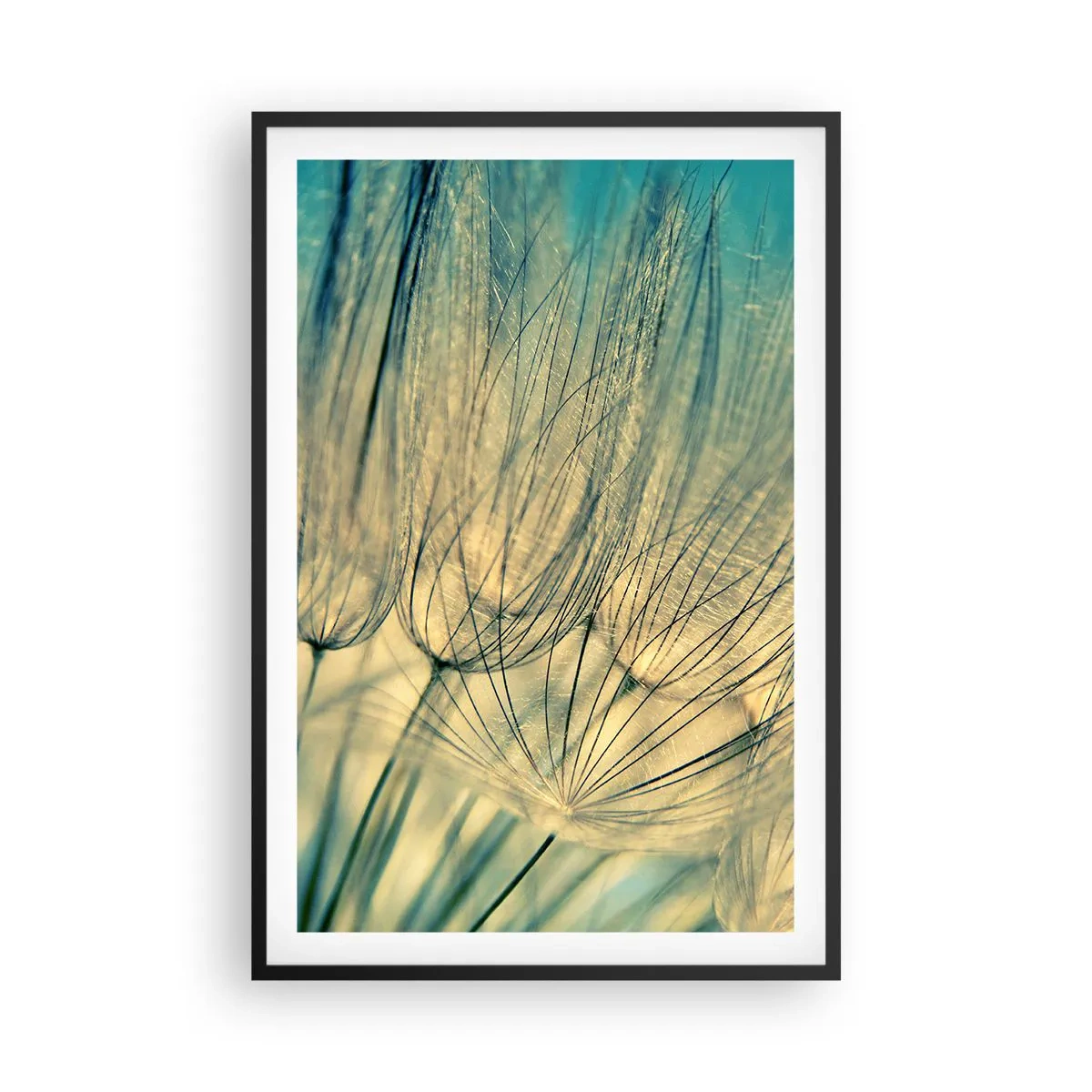 Póster en marco negro - Esperando el viento - 61x91 cm