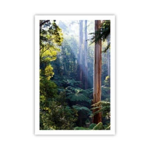 Póster - Un cuento de hadas del bosque - 61x91 cm