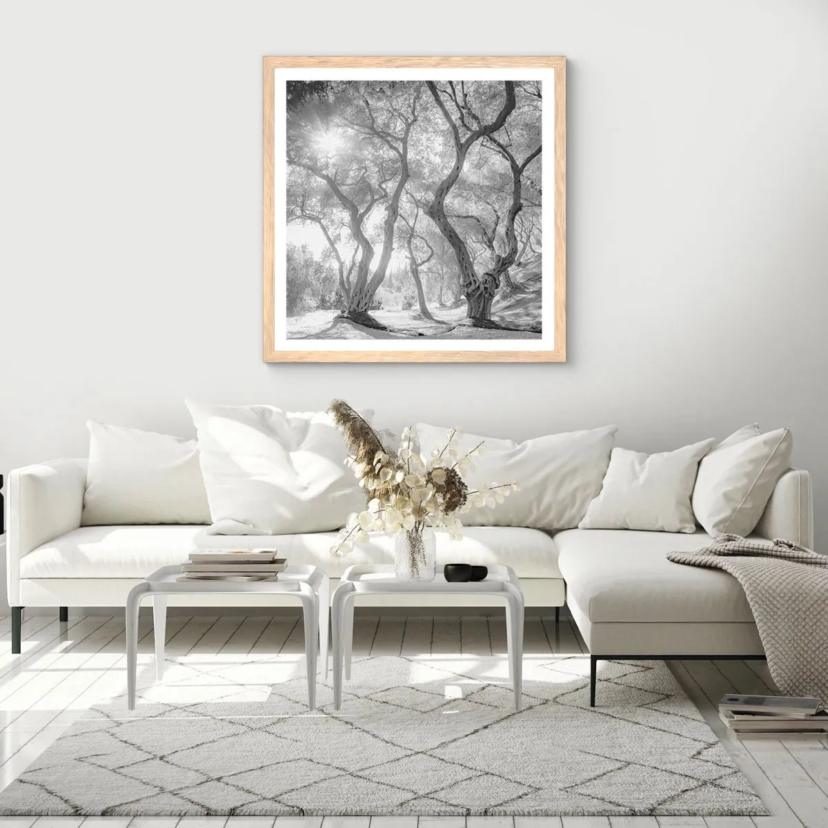 Póster en marco roble claro - En un olivar - 40x40 cm