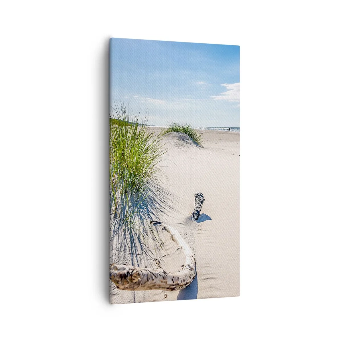 Cuadro sobre lienzo - Impresión de Imagen - ¿La más bella? Báltico - 55x100 cm