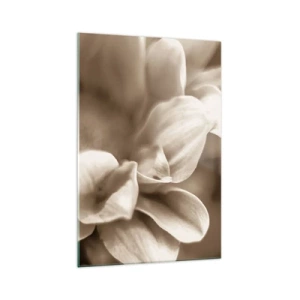 Cuadro sobre vidrio - Impresiones sobre Vidrio - Primer plano de flores en un delicado tono sepia con contornos suaves. - 70x100cm - Suave como una sonrisa - Decoración de pared moderna para salón y dormitorio ARTTOR