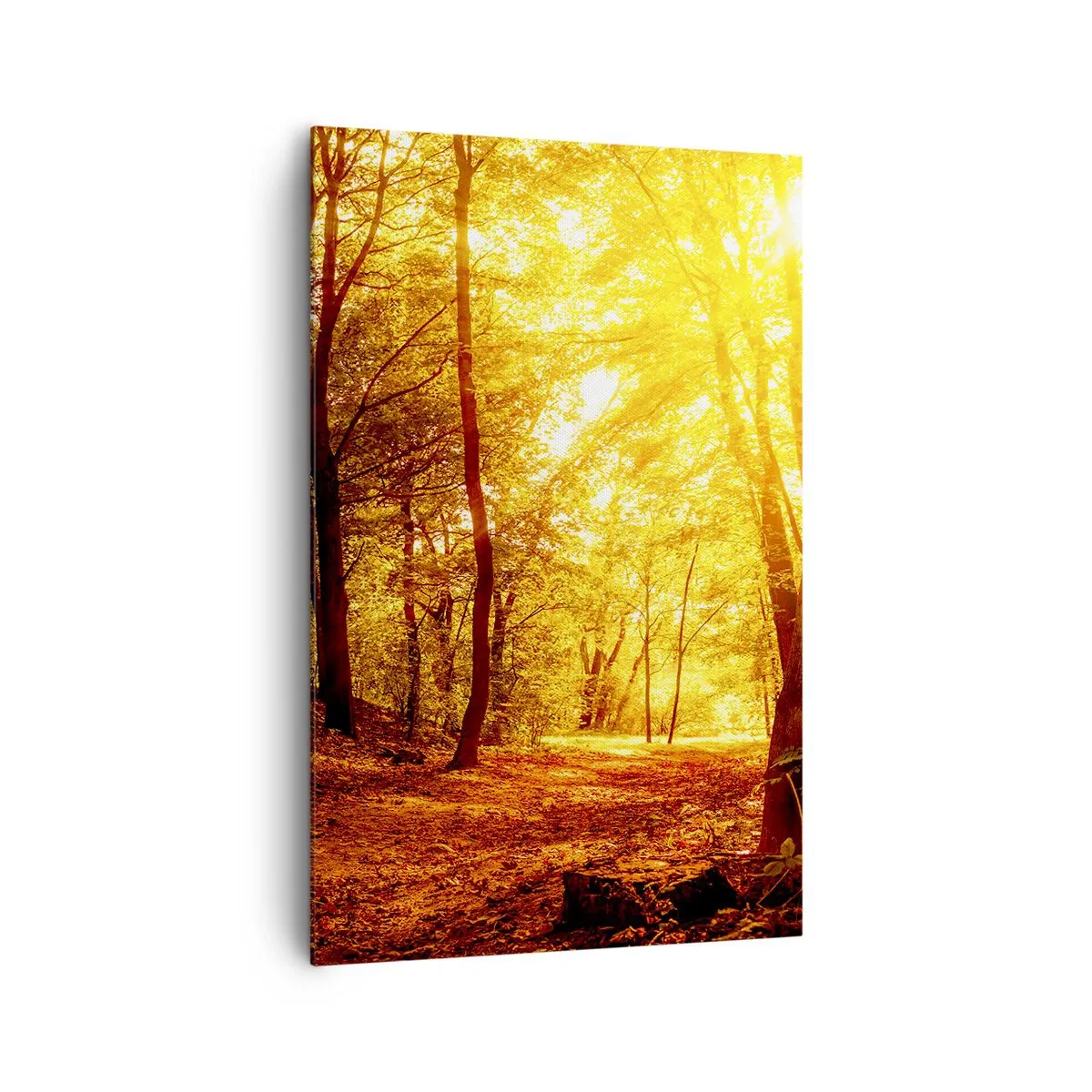 Cuadro sobre lienzo - Impresión de Imagen - Claro de otoño bajo la luz dorada del sol con un sendero forestal - 80x120cm - Hacia un claro de oro - Decoración de pared moderna para salón y dormitorio ARTTOR