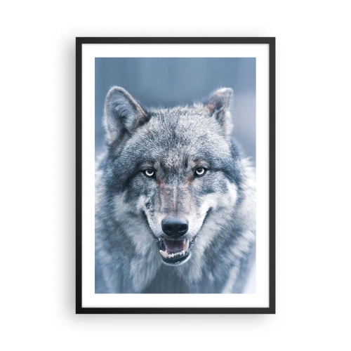 Póster en marco negro - Retrato de un lobo frente a un paisaje invernal - 50x70cm - ¿Aceptarás el reto? - Decoración de pared moderna para salón y dormitorio ARTTOR