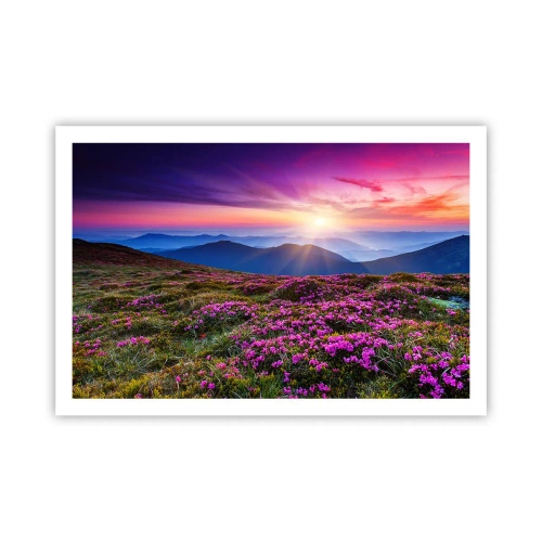 Póster - Dulce aroma a frescura - 91x61 cm