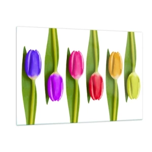 Cuadro sobre vidrio - Impresiones sobre Vidrio - Tulipanes coloridos dispuestos sobre un fondo blanco. - 120x80cm - Composición del arco iris - Decoración de pared moderna para salón y dormitorio ARTTOR