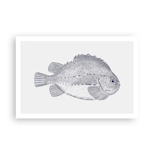 Póster - Para el álbum del naturalista - 91x61 cm